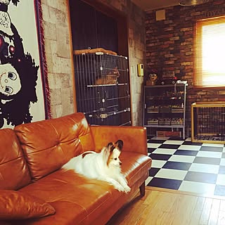 部屋全体 ヒステリックグラマーの商品を使ったおしゃれなインテリア実例 Roomclip ルームクリップ