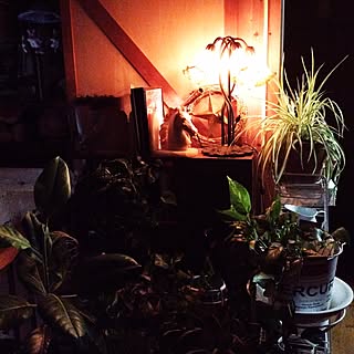 女性家族3LDKの、20rose_mamiさんの実例写真