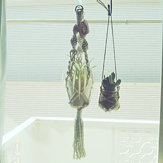 観葉植物/RCの出会いに感謝♡/フォロワー様に感謝❤️/いいね!コメントありがとうございます☆/押し逃げごめんなさい(´vωv`*)...などのインテリア実例 - 2018-03-18 09:43:24