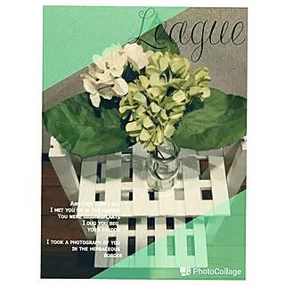あじさいフェイク♥/¥100⇒紫陽花♥/カメラ機能アレンジ♥/★ホットユーザー⇒Thank you!★/またまた、カメラアレンジ♥...などのインテリア実例 - 2017-06-28 21:12:37