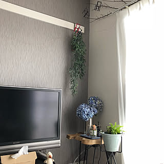 紫陽花 アボカド水栽培のおしゃれなアレンジ 飾り方のインテリア実例 Roomclip ルームクリップ