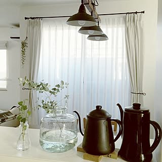 ユーカリの水挿しのインテリア実例 Roomclip ルームクリップ