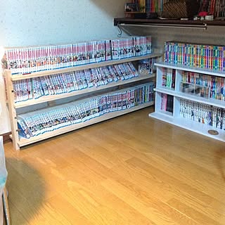 棚/手作りのインテリア実例 - 2012-05-03 22:41:45