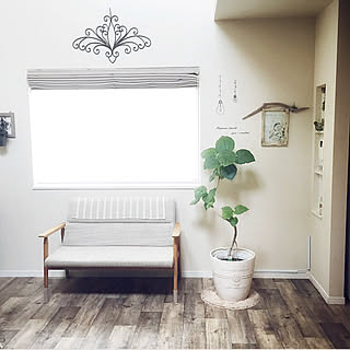 大きな鉢のインテリア実例 Roomclip ルームクリップ