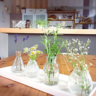 キッチン 庭の花を生けるのインテリア実例 Roomclip ルームクリップ