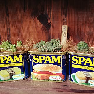 スパム缶のインテリア実例 Roomclip ルームクリップ