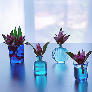 リンドウの花のインテリア実例 Roomclip ルームクリップ
