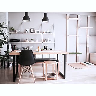 部屋全体/猫と暮らすマンション/猫と暮らす/猫インテリア/アイアン...などのインテリア実例 - 2017-01-14 13:22:02