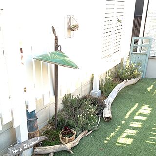 流木 花壇のおしゃれなインテリアコーディネート レイアウトの実例 Roomclip ルームクリップ