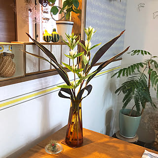 スーパーのお花のインテリア実例 Roomclip ルームクリップ スーパーのお花のインテリア実例 Roomclip ルームクリップ