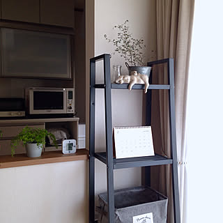 棚/無印良品/ソフォラ・ミクロフィラ・リトルベイビー/うさぎ/IKEA 棚...などのインテリア実例 - 2018-02-09 19:53:07