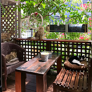 ウッドデッキ 脱走防止ネットのインテリア実例 Roomclip ルームクリップ