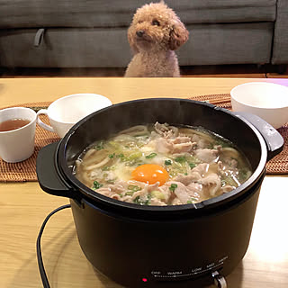 晩ご飯/こたつ/くらしのeショップモニター/山善/キャセロール...などのインテリア実例 - 2019-12-15 13:41:28