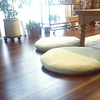 ニトリ キャスター付きプランター台のインテリア実例 Roomclip ルームクリップ ニトリ キャスター付きプランター台のインテリア実例 Roomclip ルームクリップ