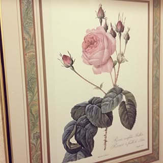 バス/トイレ/薔薇のインテリア実例 - 2012-08-02 09:11:23