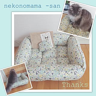 リビング/今日も見に来てくれありがとうございます♪/築36年のお家/猫のいる暮らし・:*/いつもいいねやコメントに感謝です✨...などのインテリア実例 - 2017-05-17 16:58:25