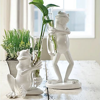 北欧/花瓶/観葉植物/カエル/グリーン...などのインテリア実例 - 2018-02-13 18:06:36