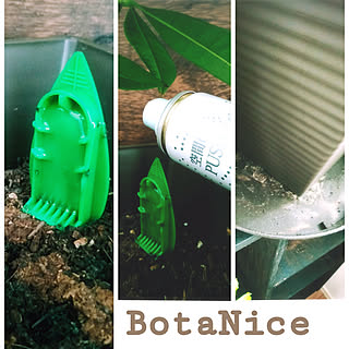 観葉植物/多肉植物/BotaNice/コバエバイバイ♡/コメントお気遣いなく♡...などのインテリア実例 - 2019-07-06 15:00:18