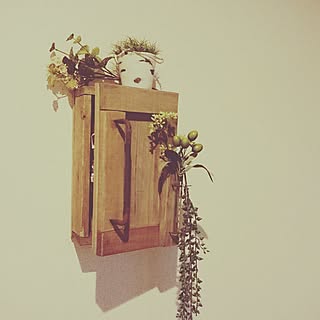 玄関/入り口/キーボックス/seria/フェイクグリーンのインテリア実例 - 2016-10-29 20:41:20