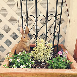 ラベンダーメルローのインテリア実例 Roomclip ルームクリップ