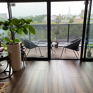 観葉植物 マンションベランダのインテリア実例 Roomclip ルームクリップ 観葉植物 マンションベランダのインテリア実例 Roomclip ルームクリップ
