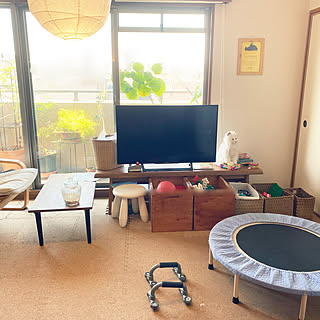 トランポリンカバーのインテリア実例 Roomclip ルームクリップ