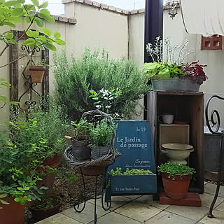 テラス 大人可愛いのインテリア実例 Roomclip ルームクリップ