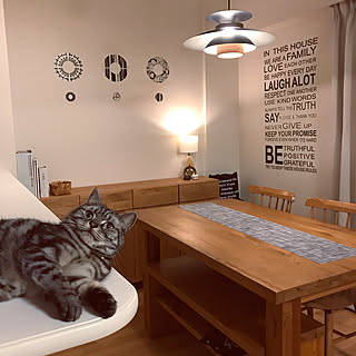 ねこ部 ベルメゾン家具のインテリア実例 Roomclip ルームクリップ