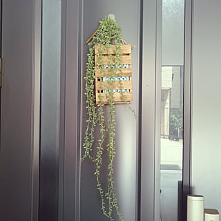 ニトリ 虫除けカバーの商品を使ったおしゃれなインテリア実例 Roomclip ルームクリップ