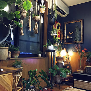木のプランター 花屋の花のインテリア実例 Roomclip ルームクリップ