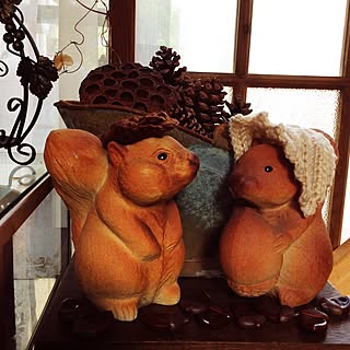 バス/トイレ/ドングリ*蓮の実*松ぼっくり/物集めるリス族のお気に入りリス達❤︎/秋の設えに+*。♪♫/妄想が膨らむ 妄想族(笑)...などのインテリア実例 - 2015-09-11 09:44:51