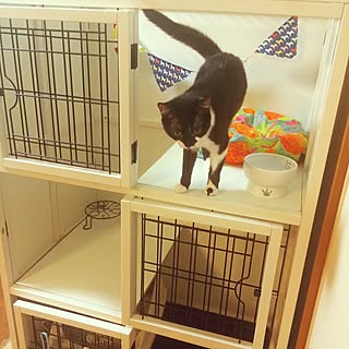 ナチュラルワン（ケージ ゲージ）のおすすめ家具・インテリアの商品 