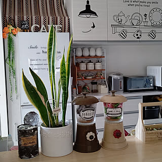 エコプラントのインテリア実例 Roomclip ルームクリップ