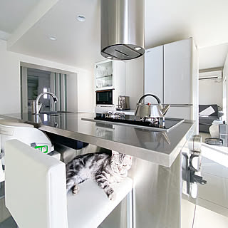 モダン/団地/リノベーション/ホワイトインテリア/キッチンのインテリア実例 - 2020-01-24 07:35:42