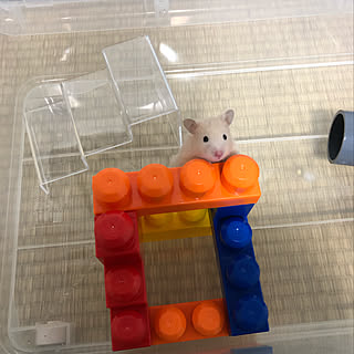 100均 ハムスターと暮らすのインテリア実例 Roomclip ルームクリップ