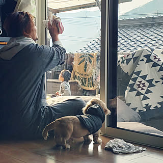 女性の、Other、家族住まいの「壁/天井」についてのインテリア実例