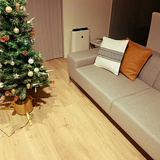 リビング/ノダ/アートクチュールの床/RoomClipアンケートのインテリア実例 - 2019-12-02 21:56:29