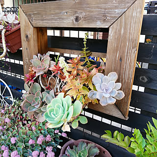 額縁プランターのインテリア実例 Roomclip ルームクリップ