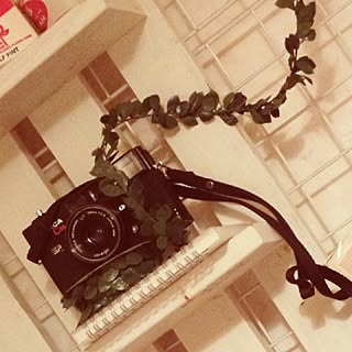 棚/カメラストラップ/手作り家具/カメラ/すのこ...などのインテリア実例 - 2012-12-17 10:29:20