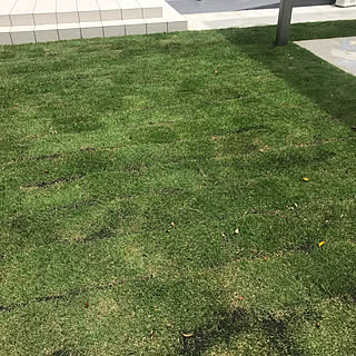 芝張りに挑戦のインテリア実例 Roomclip ルームクリップ