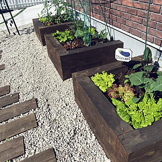 リーフレタスのインテリア実例 Roomclip ルームクリップ リーフレタスのインテリア実例 Roomclip ルームクリップ