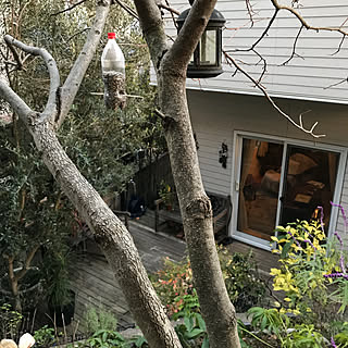 野鳥の餌台のインテリア実例 Roomclip ルームクリップ