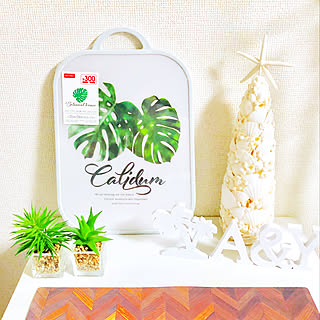 キッチン/まな板/新商品買ったよ！/モンステラ♡/観葉植物のある暮らし...などのインテリア実例 - 2019-02-28 19:44:16