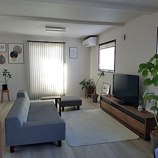 部屋全体/観葉植物/一輪挿し/ウンベラータ/マスターウォール...などのインテリア実例 - 2020-01-19 12:25:19