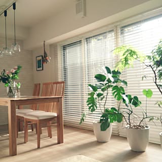 部屋全体/花のある暮らし/NO GREEN NO LIFE/ヒヤシンス水栽培/ヘザーブラウン...などのインテリア実例 - 2017-01-13 09:28:19