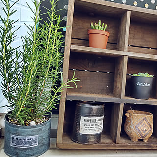 木箱 モニター応募投稿のインテリア実例 Roomclip ルームクリップ