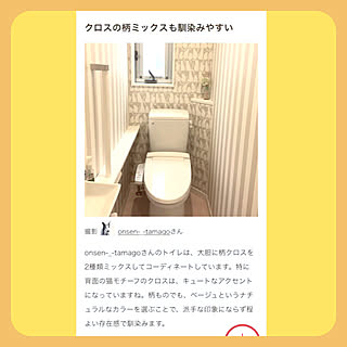 猫柄の壁紙のインテリア実例 Roomclip ルームクリップ