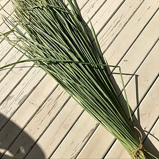 レモングラス収穫のインテリア実例 Roomclip ルームクリップ