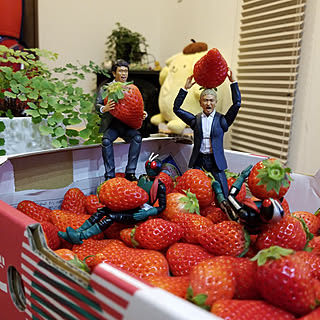 男前 ダウンタウンのいる暮らしのおしゃれなインテリア 部屋 家具の実例 Roomclip ルームクリップ