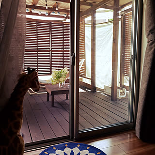キリンのインテリア実例 Roomclip ルームクリップ